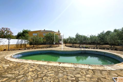 Villa i Enguera, Valencia, Enguera - € 560.000 | Ref: Engp1 - foto 42