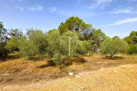 Villa i Enguera, Valencia, Enguera - € 560.000 | Ref: Engp1 - foto 44