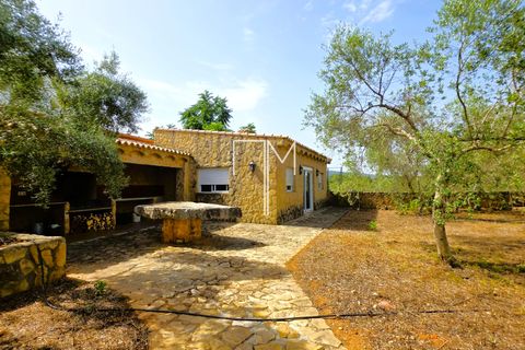 Villa i Enguera, Valencia, Enguera - € 560.000 | Ref: Engp1 - foto 34
