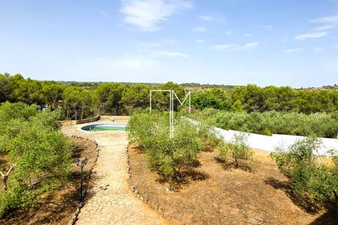 Villa i Enguera, Valencia, Enguera - € 560.000 | Ref: Engp1 - foto 45