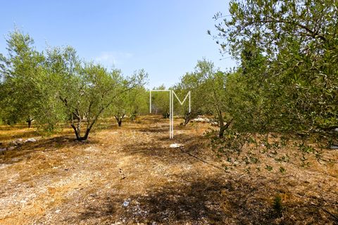 Villa i Enguera, Valencia, Enguera - € 560.000 | Ref: Engp1 - foto 43