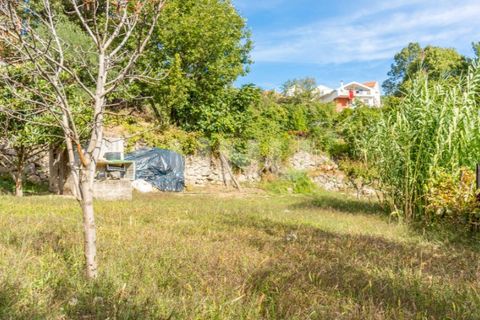 Helårsgrund i Vila Carvalho, Castelo Branco, Vila Carvalho - € 60.000 | Ref: UNU.I.1550.12348 - foto 2