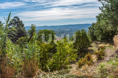 Helårsgrund i Vila Carvalho, Castelo Branco, Vila Carvalho - € 60.000 | Ref: UNU.I.1550.12348 - foto 4