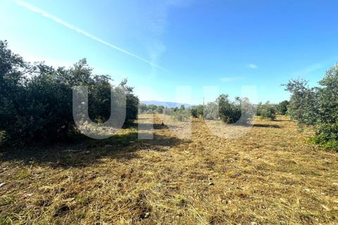 Helårsgrund i Fundao, Castelo Branco, Fundao - € 72.000 | Ref: UNU.I.2006.12348 - foto 2