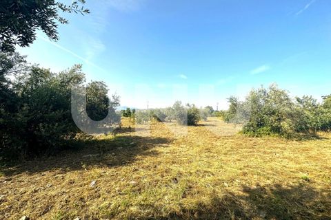 Helårsgrund i Fundao, Castelo Branco, Fundao - € 72.000 | Ref: UNU.I.2006.12348 - foto 3