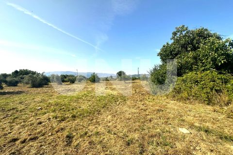 Helårsgrund i Fundao, Castelo Branco, Fundao - € 72.000 | Ref: UNU.I.2006.12348 - foto 5