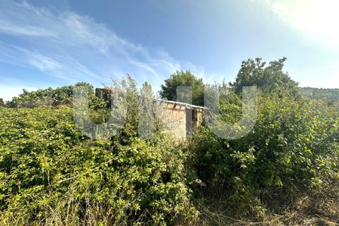 Helårsgrund i Fundao, Castelo Branco, Fundao - € 72.000 | Ref: UNU.I.2006.12348 - foto 7