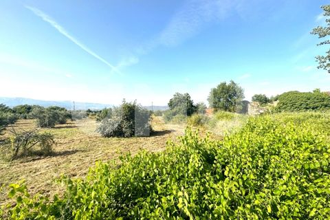 Helårsgrund i Fundao, Castelo Branco, Fundao - € 72.000 | Ref: UNU.I.2006.12348 - foto 11