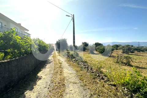 Helårsgrund i Fundao, Castelo Branco, Fundao - € 72.000 | Ref: UNU.I.2006.12348 - foto 12