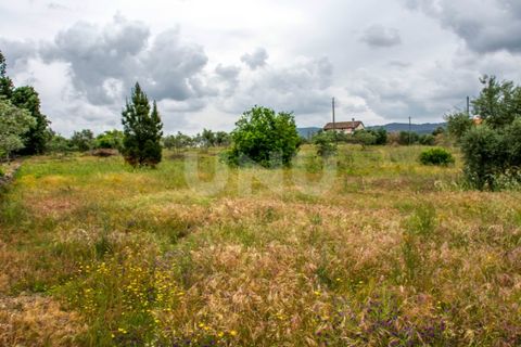 Helårsgrund i Fundao, Castelo Branco, Fundao - € 290.000 | Ref: UNU.I.1084.12348 - foto 6
