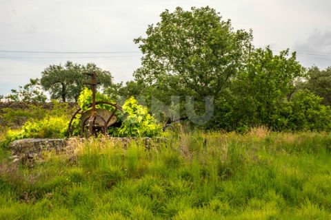 Helårsgrund i Fundao, Castelo Branco, Fundao - € 290.000 | Ref: UNU.I.1084.12348 - foto 8