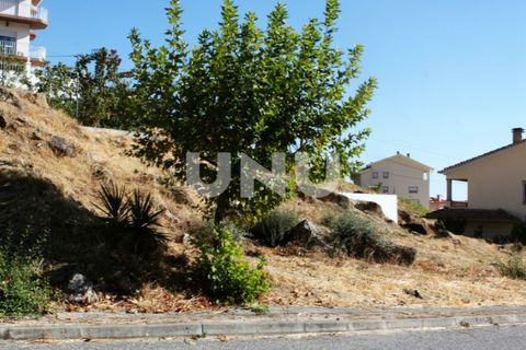 Terra a Teixoso, Castelo Branco, Teixoso - € 49.500 | Ref: UNU.I.1004.12348 - foto 4