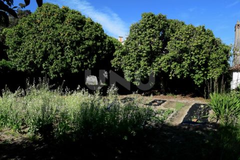 Villa i Tortosendo, Castelo Branco, Tortosendo - € 500.000 | Ref: UNU.I.1465.12348 - foto 31