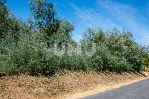 Helårsgrund i Teixoso, Castelo Branco, Teixoso - € 80.000 | Ref: UNU.I.1514.12348 - foto 2