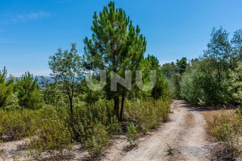 Helårsgrund i Teixoso, Castelo Branco, Teixoso - € 80.000 | Ref: UNU.I.1514.12348 - foto 3