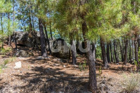 Helårsgrund i Teixoso, Castelo Branco, Teixoso - € 80.000 | Ref: UNU.I.1514.12348 - foto 4