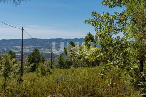 Helårsgrund i Teixoso, Castelo Branco, Teixoso - € 80.000 | Ref: UNU.I.1514.12348 - foto 5