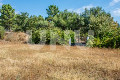 Helårsgrund i Fundao, Castelo Branco, Fundao - € 75.000 | Ref: UNU.I.1317.12348 - foto 2