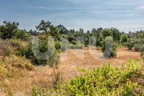 Helårsgrund i Fundao, Castelo Branco, Fundao - € 75.000 | Ref: UNU.I.1317.12348 - foto 7