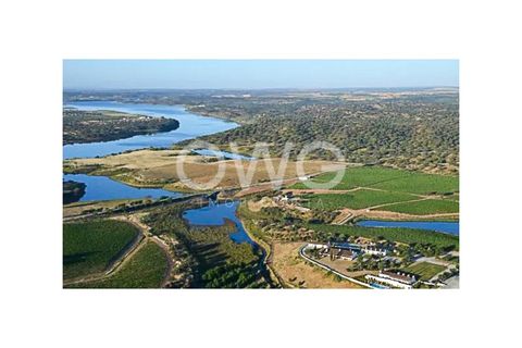 Rækkehus i Vidigueira, Beja, Vidigueira - € 58.000 | Ref: HAB_13 - foto 12