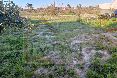 Helårsgrund i Quinta do Anjo, Setubal, Quinta do Anjo - € 89.000 | Ref: SÒL_250 - foto 16