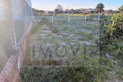 Helårsgrund i Quinta do Anjo, Setubal, Quinta do Anjo - € 89.000 | Ref: SÒL_250 - foto 17
