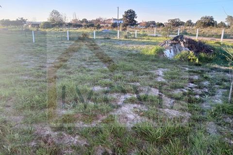 Helårsgrund i Quinta do Anjo, Setubal, Quinta do Anjo - € 89.000 | Ref: SÒL_250 - foto 18