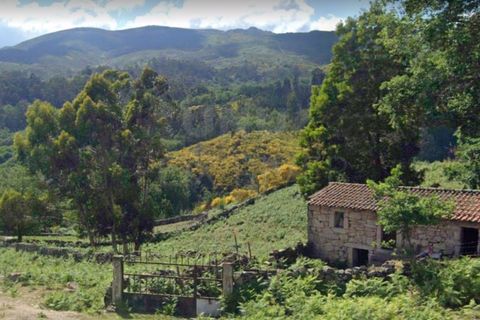 Farm i Arcos de Valdevez, Viana do Castelo, Arcos de Valdevez - € 80.000 | Ref: UNU-F3-04-270 - foto 6