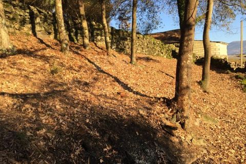 Farm i Arcos de Valdevez, Viana do Castelo, Arcos de Valdevez - € 80.000 | Ref: UNU-F3-04-270 - foto 8