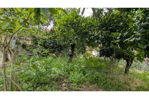 Villa i Arcos de Valdevez, Viana do Castelo, Arcos de Valdevez - € 100.000 | Ref: UNU-F3-74-5 - foto 10