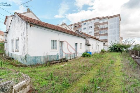 Villa en Fatima, Santarem, Fatima - € 780.000 | Ref: CV11001-252 - photo 15