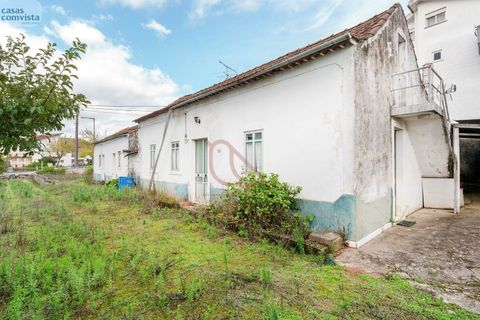 Villa en Fatima, Santarem, Fatima - € 780.000 | Ref: CV11001-252 - photo 16