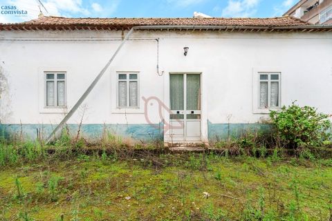 Villa en Fatima, Santarem, Fatima - € 780.000 | Ref: CV11001-252 - photo 20
