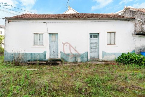 Villa en Fatima, Santarem, Fatima - € 780.000 | Ref: CV11001-252 - photo 21