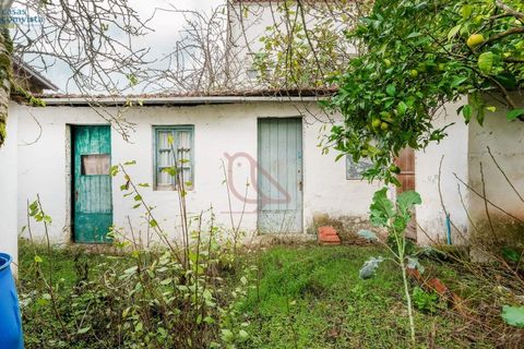 Villa en Fatima, Santarem, Fatima - € 780.000 | Ref: CV11001-252 - photo 23