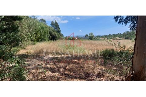 Grond in Rogil, Faro, Rogil - € 80.000 | Ref: 9128 - foto 4