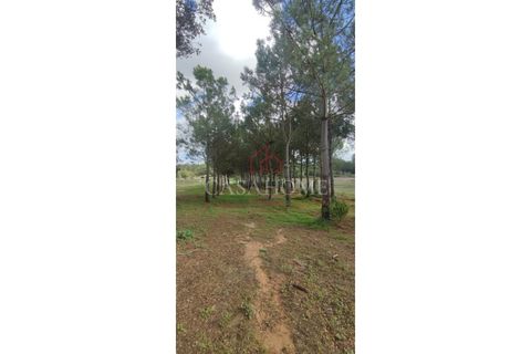 Grond in Rogil, Faro, Rogil - € 80.000 | Ref: 9128 - foto 7