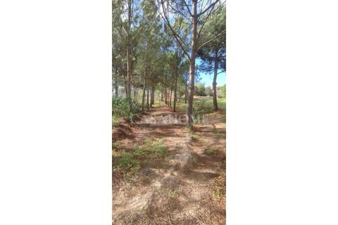 Grond in Rogil, Faro, Rogil - € 80.000 | Ref: 9128 - foto 8
