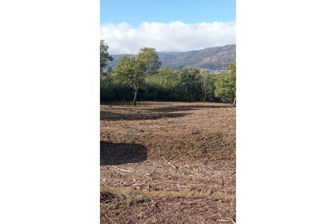 Ruïna a Teixoso, Castelo Branco, Teixoso - € 150.000 | Ref: RUÏ_309 - foto 4