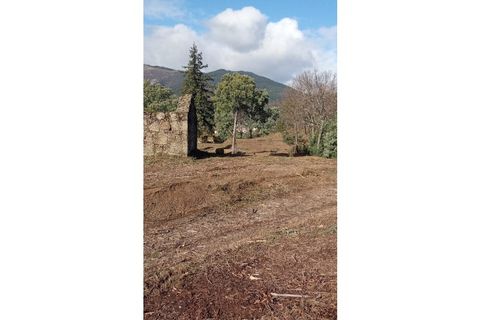 Ruïna a Teixoso, Castelo Branco, Teixoso - € 150.000 | Ref: RUÏ_309 - foto 5