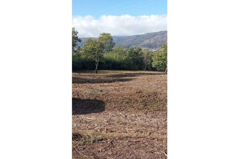 Ruïna a Teixoso, Castelo Branco, Teixoso - € 150.000 | Ref: RUÏ_309 - foto 7