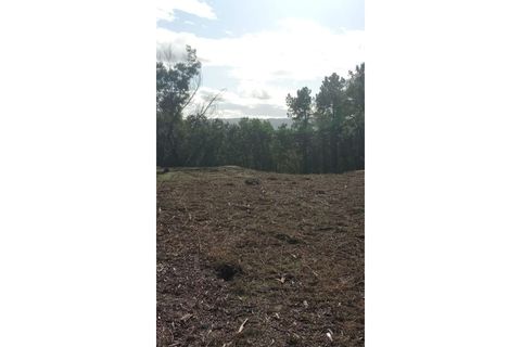Ruïna a Teixoso, Castelo Branco, Teixoso - € 150.000 | Ref: RUÏ_309 - foto 8