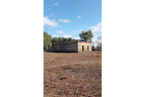 Ruïna a Teixoso, Castelo Branco, Teixoso - € 150.000 | Ref: RUÏ_309 - foto 9