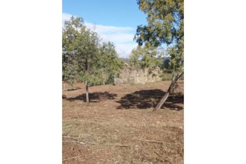 Ruïna a Teixoso, Castelo Branco, Teixoso - € 150.000 | Ref: RUÏ_309 - foto 10
