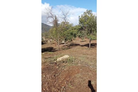 Ruïna a Teixoso, Castelo Branco, Teixoso - € 150.000 | Ref: RUÏ_309 - foto 16