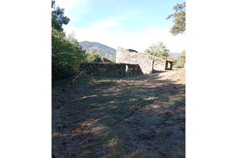 Ruïna a Teixoso, Castelo Branco, Teixoso - € 150.000 | Ref: RUÏ_309 - foto 21