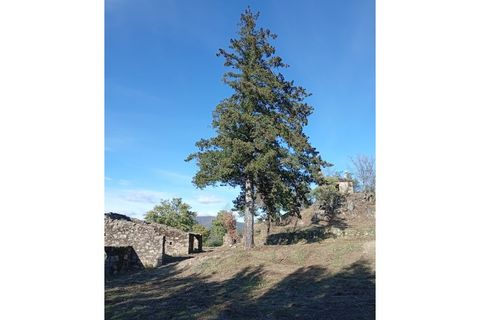 Ruïna a Teixoso, Castelo Branco, Teixoso - € 150.000 | Ref: RUÏ_309 - foto 22