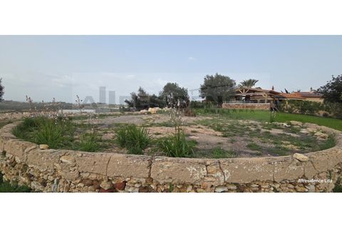 Farm i Algoz, Faro, Algoz - € 1.000.000 | Ref: QUI-05 - foto 7