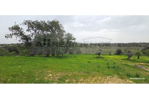 Farm i Algoz, Faro, Algoz - € 1.000.000 | Ref: QUI-05 - foto 9