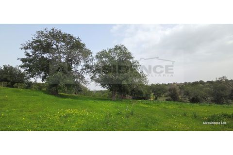 Farm i Algoz, Faro, Algoz - € 1.000.000 | Ref: QUI-05 - foto 10